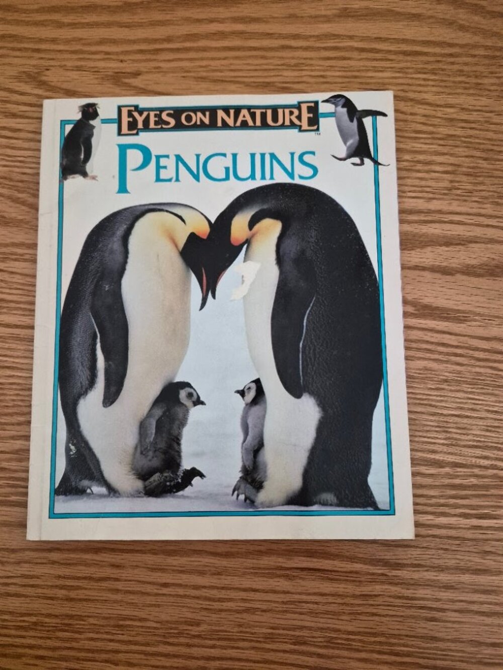 Eyes On Nature "Penguins